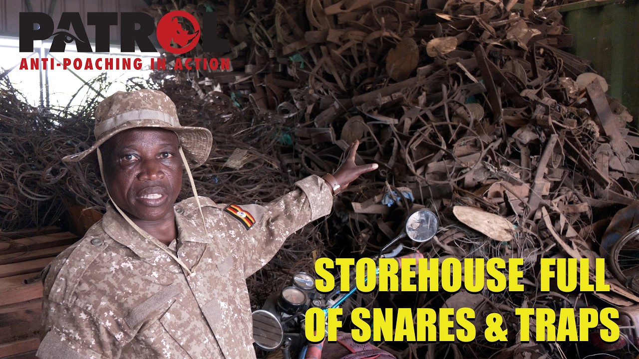Storehouse Full of Snares and Traps
