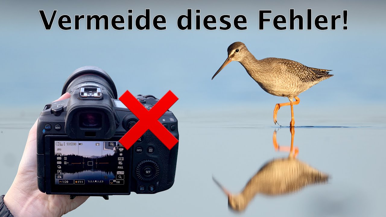 Die 10 häufigsten Fehler beim Fotografieren