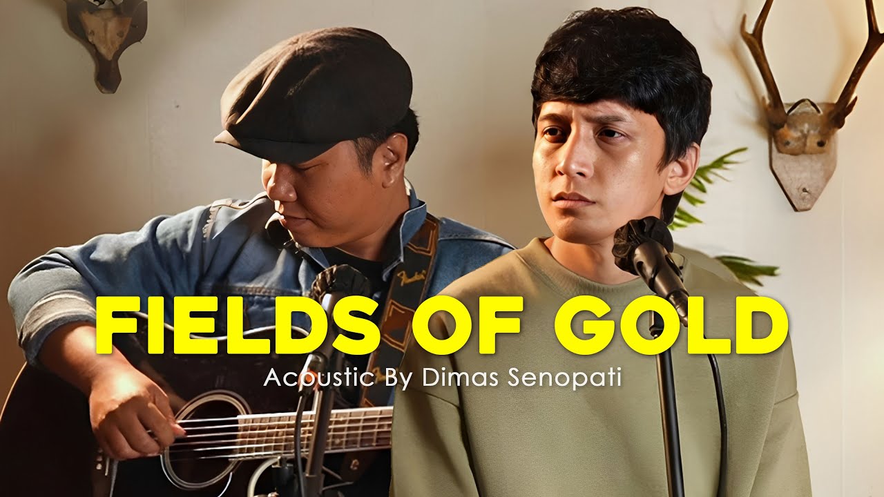 Sting - Fields of Gold (Acoustic Cover)