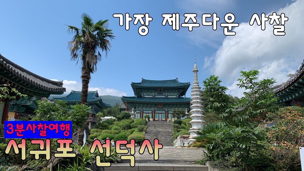 가장 제주다운 사찰 / 제주의 3대사찰 / 서귀포 선덕사