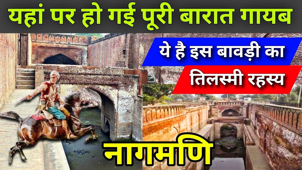 #Jaani_Chor Ki bavdi । jaani chor ki gufa । #जानी_चोर की बावड़ी का रहस्य। #ज्ञानी_चोर की बावड़ी महम