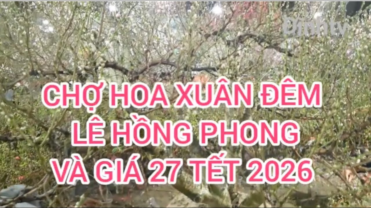 Chợ Hoa Đêm Hải Phòng ngày 27 Tết 2026 