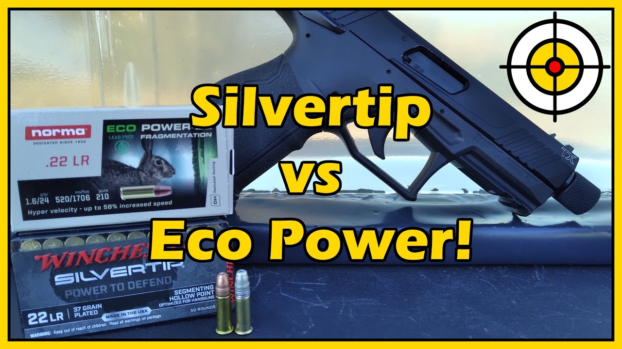 Are They Good .22lr Options For Self Defense? Winchester Silvertip vs Norma Eco Power!