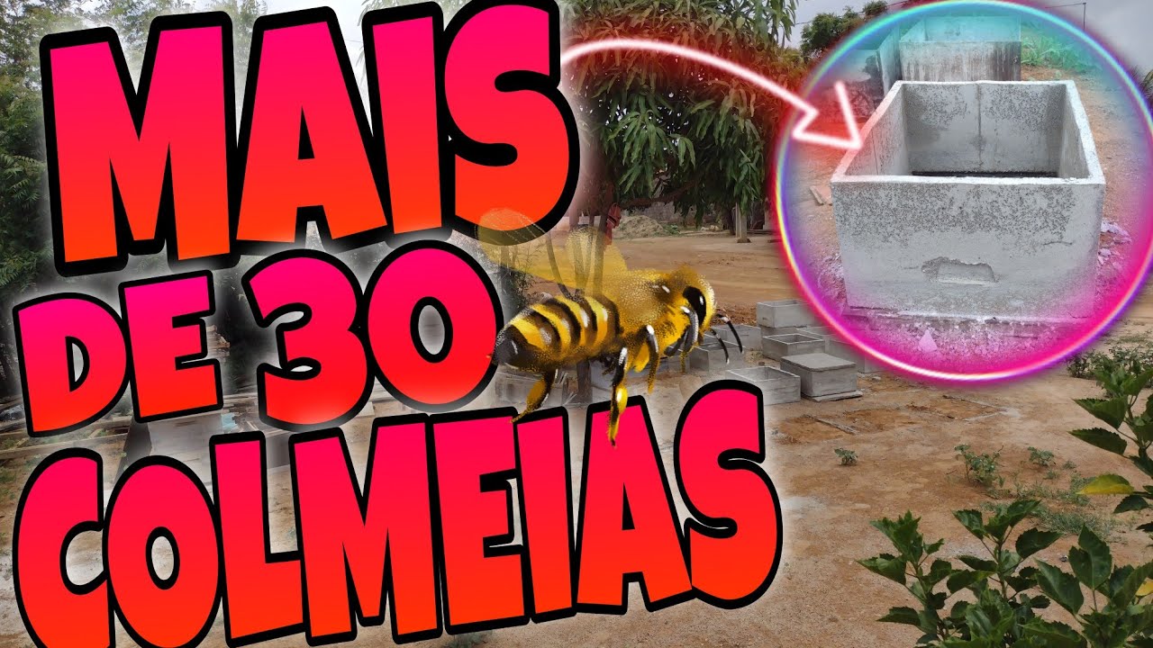 Novos apicultores veja o tanto de colmeias de cimento que eles fizeram.