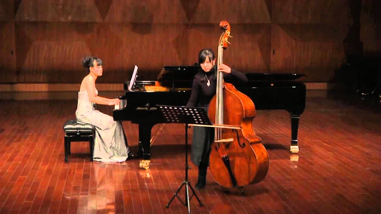 Hoffmeister Double Bass Concerto No. 1 in D, 1st Mov. by Fan Jie