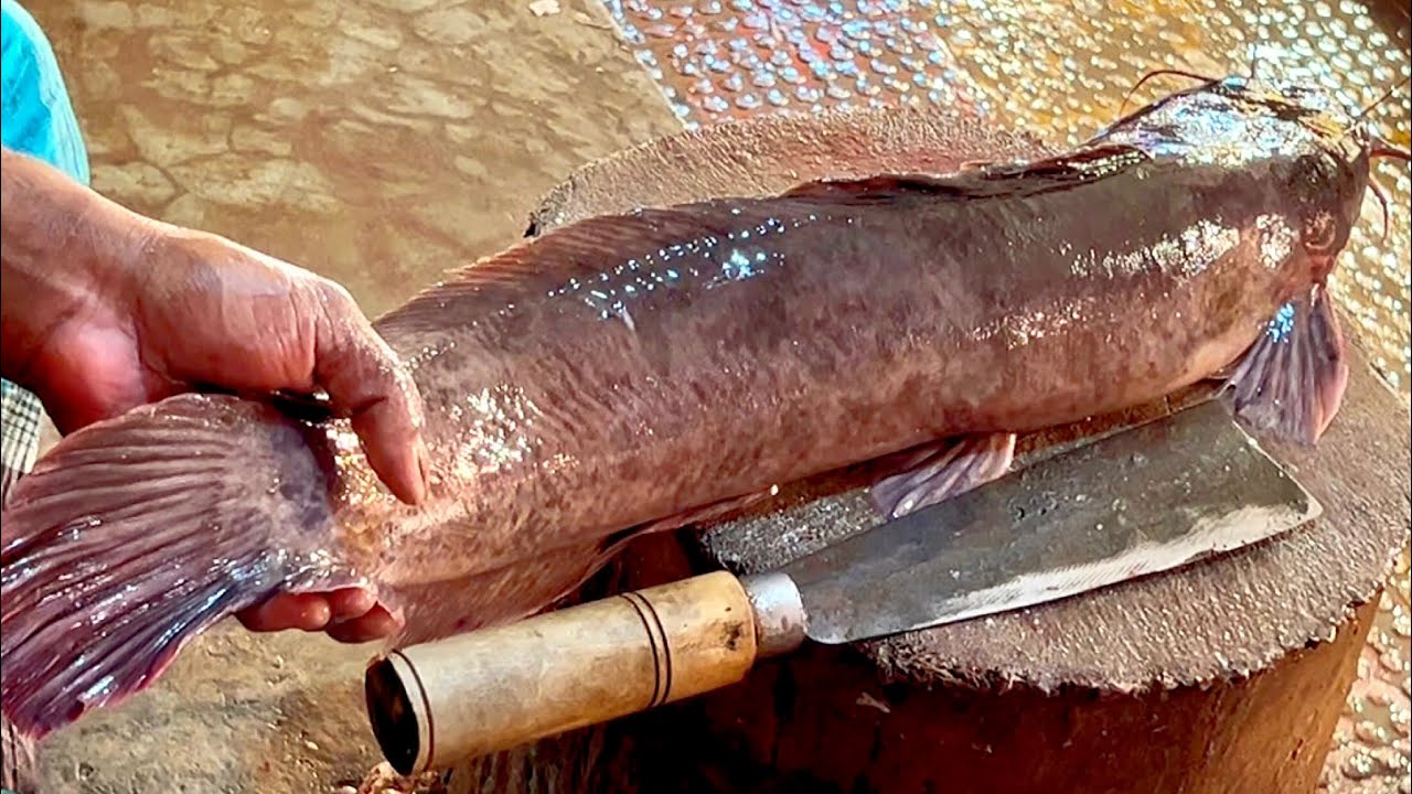 Giant African Magur Fish Cutting Live In Bangladesh | Amazing Catfish Cutting Skills