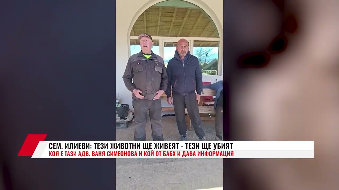 СЕМ. ИЛИЕВИ: ТЕЗИ ЖИВОТНИ ЩЕ ЖИВЕЯТ - ТЕЗИ ЩЕ УБИЯТ