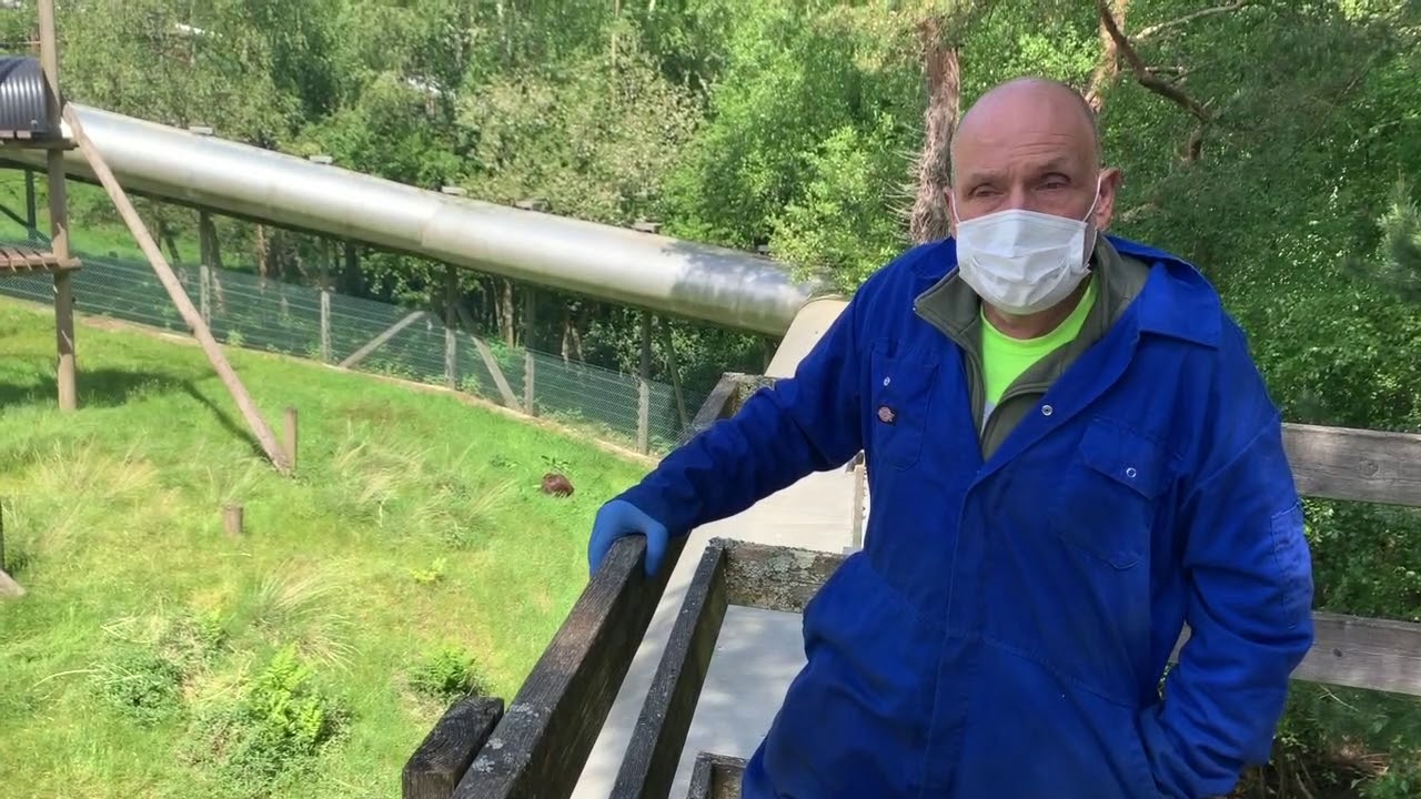 Catch up with Jeremy at Gordon's orangutan group!