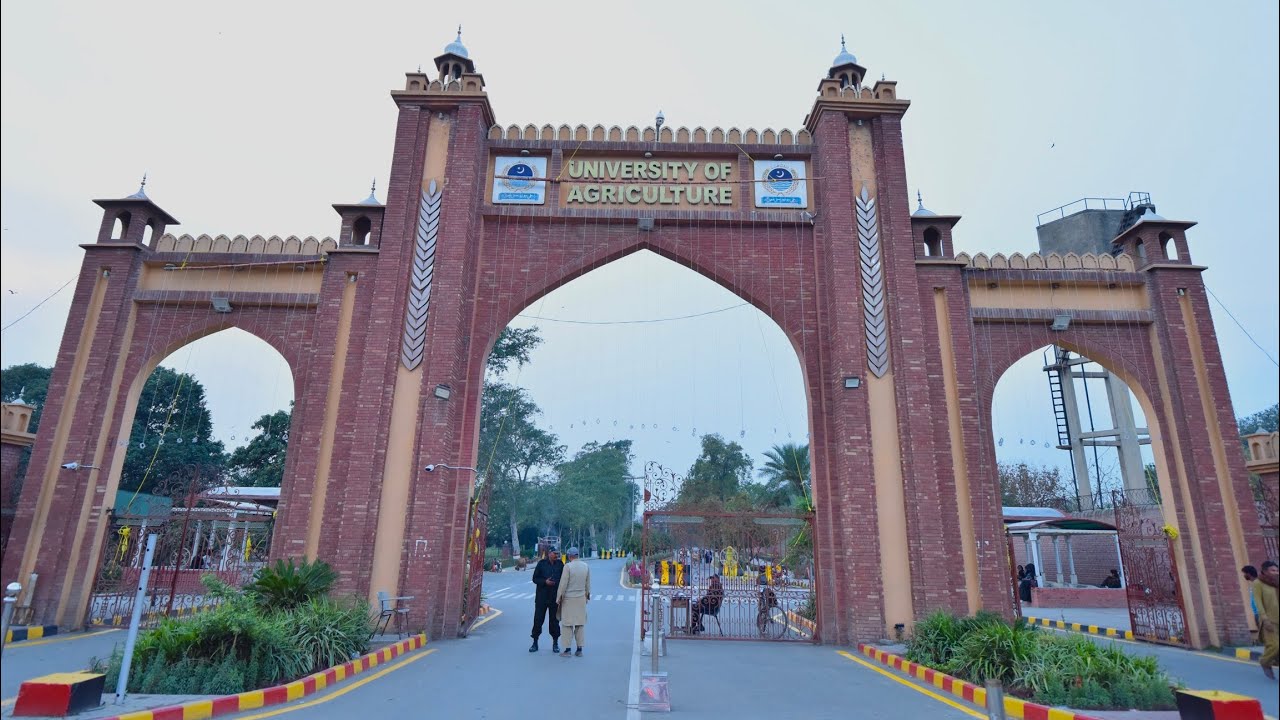 History, Ranking & Admissions | University of Agriculture Faisalabad