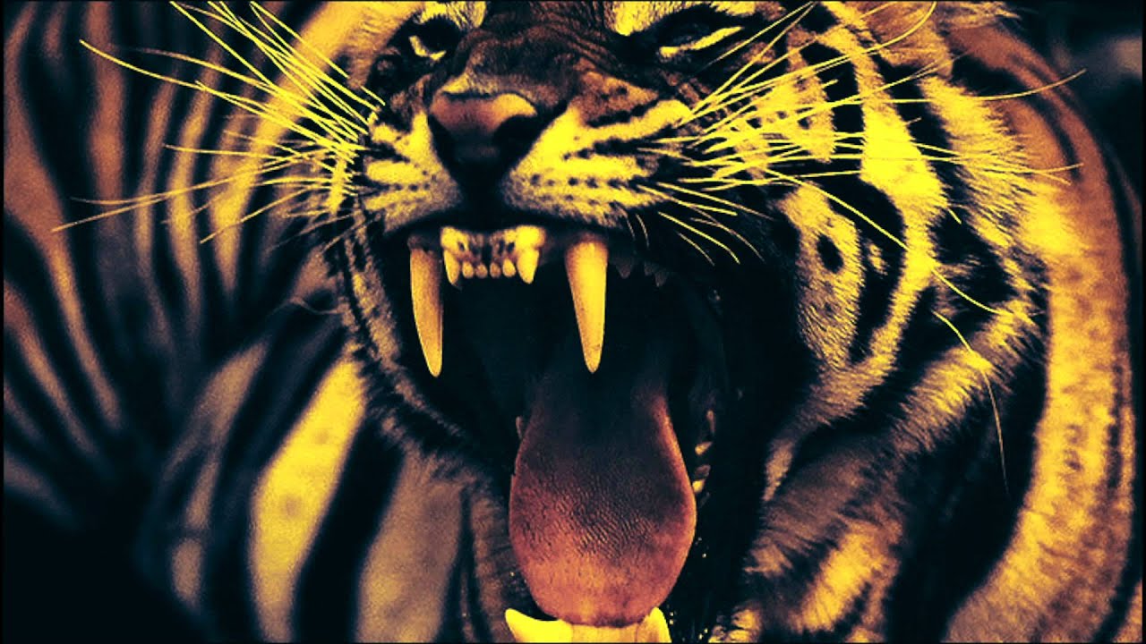 ShockFront - EYE OF THE TIGER (80s Metal Version)