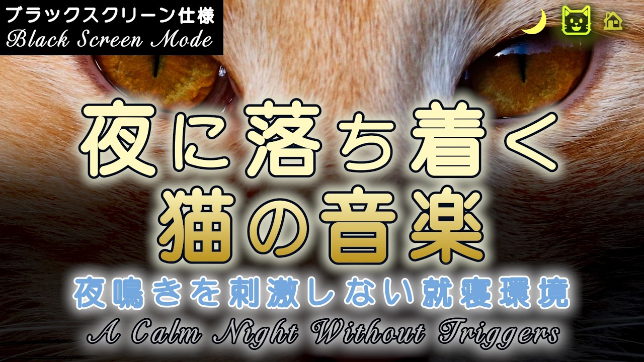 Кошка мяукает ночью: музыка для сна 12 часов — чёрный экран, без стресса