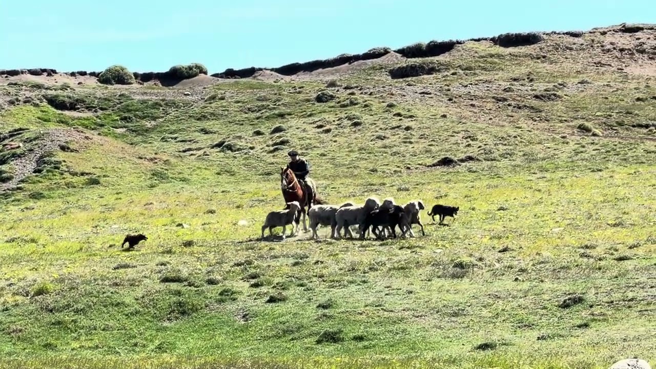 Nov 2025 Patagonia Ranch visit