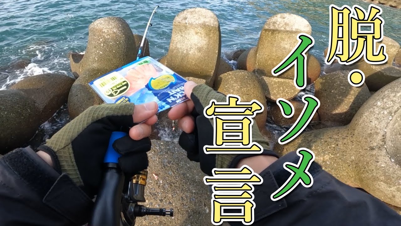 【穴釣り】安竿と安価ワームで充分でした