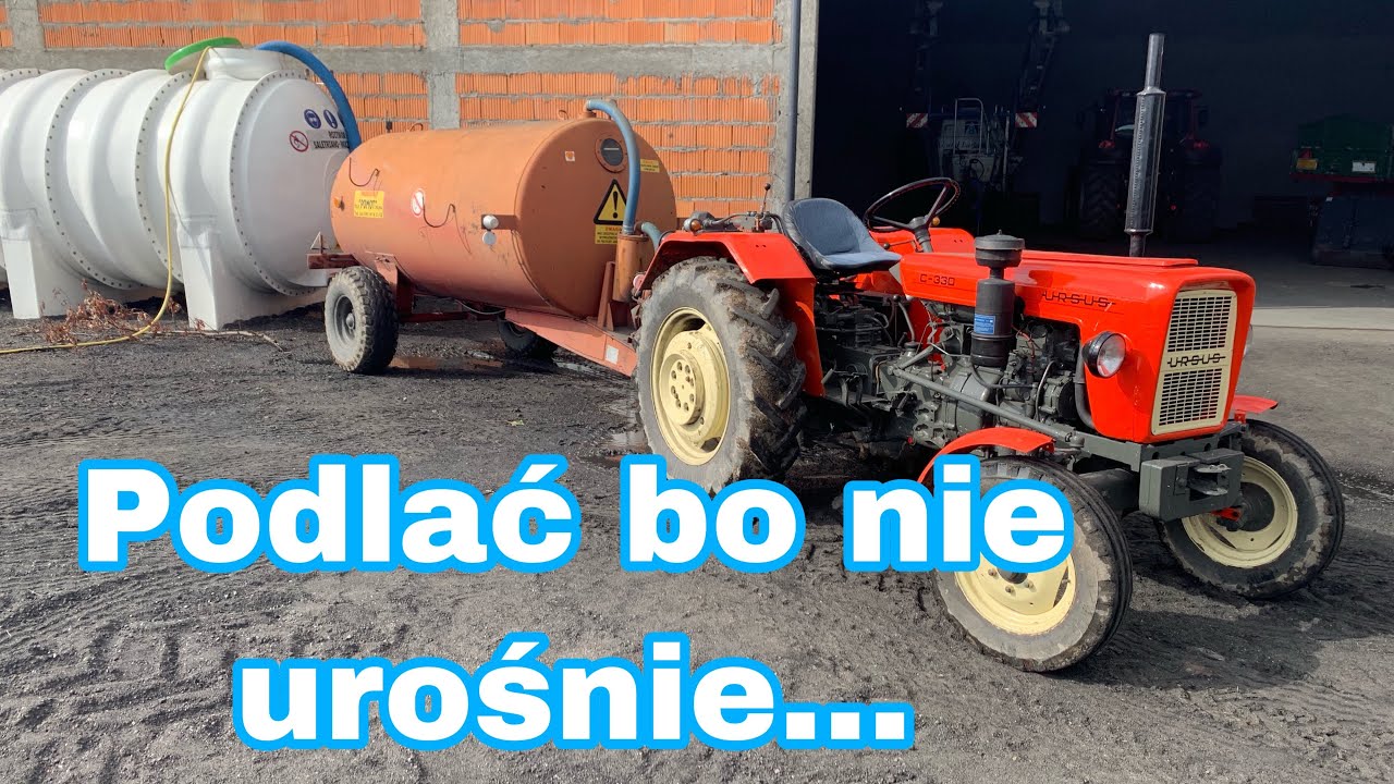 #235- Podlewanie buraczka ćwikłowego beczkowozem ? Ursus c330 + Pomot Chojna 4tyś l