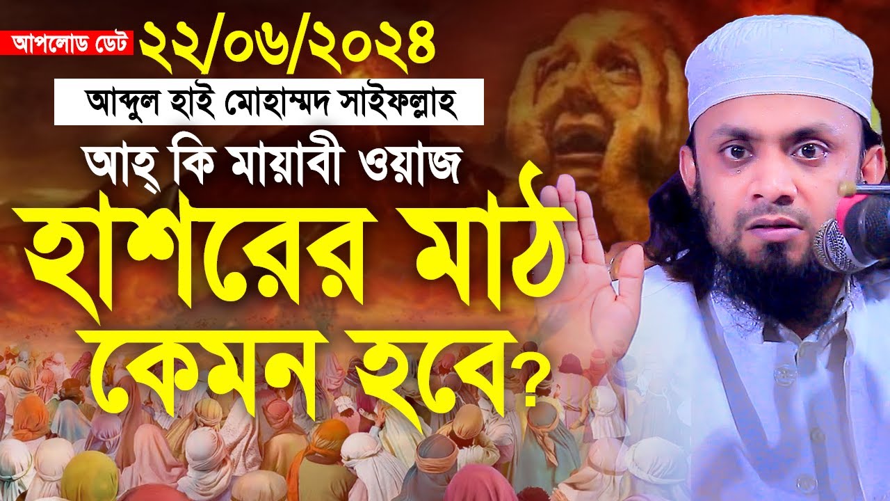 কিয়ামতের ময়দান কতটা ভয়াবহ !! Abdul Hi Muhammad Saifullah Waz 2024। আব্দুল হাই মুহাম্মাদ সাইফুল্লাহ