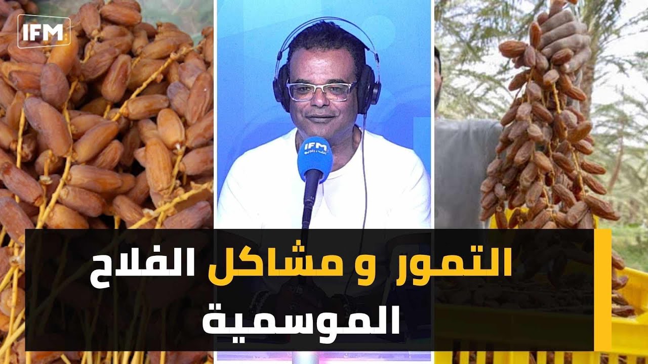 التمور و مشاكل الفلاح الموسمية