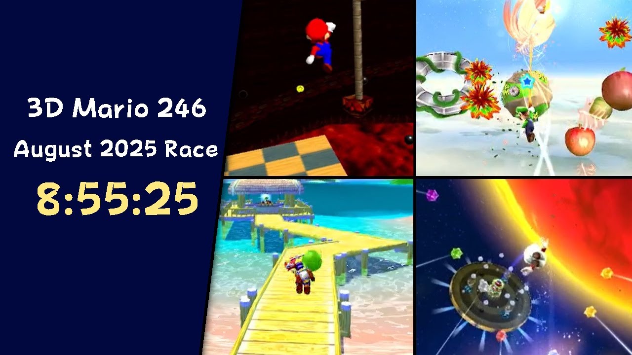3D Mario 246 in 8:55:25
