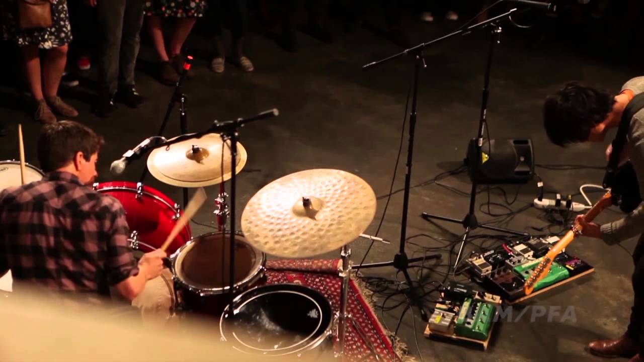 The Dodos