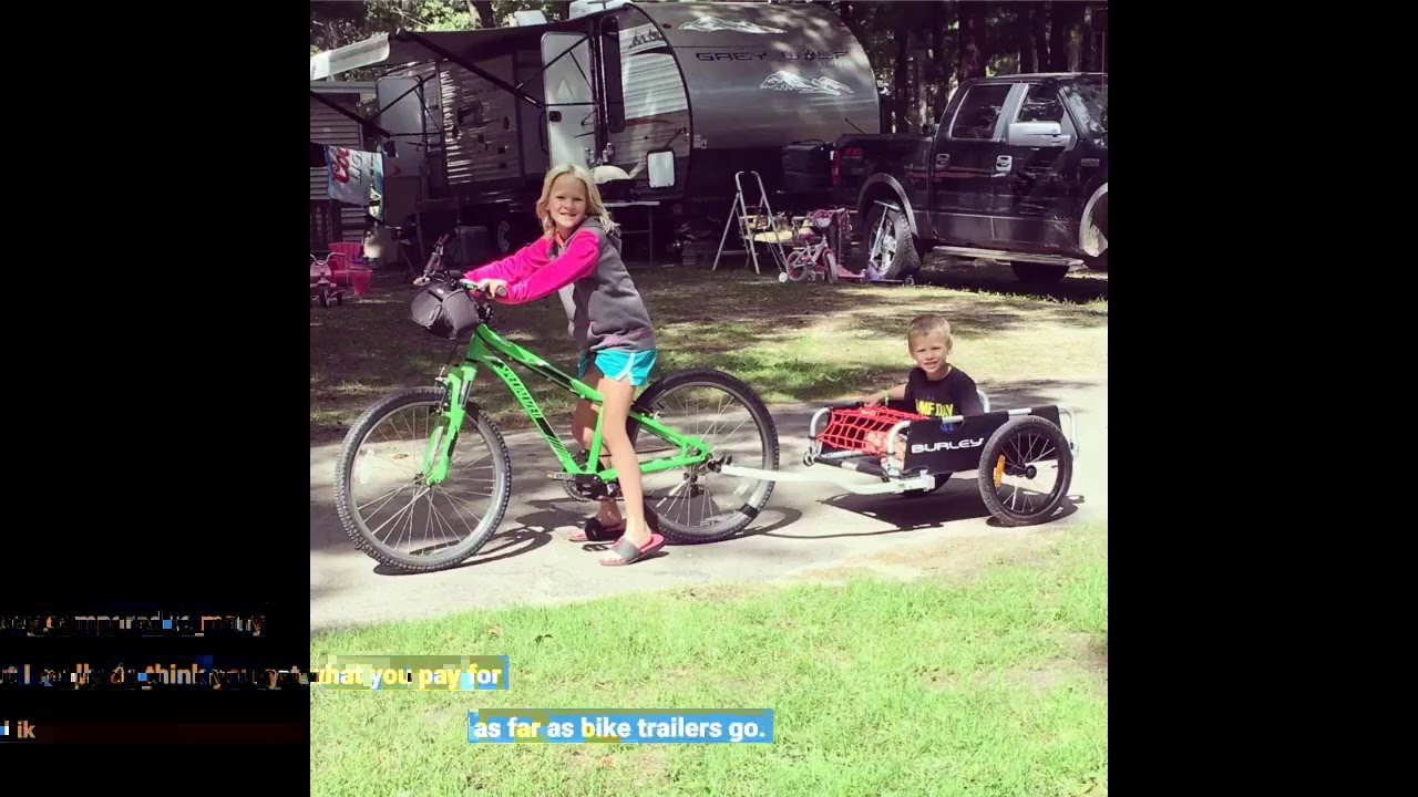 User Review: Burley Flatbed, Aluminum Utility Cargo Bike Trailer