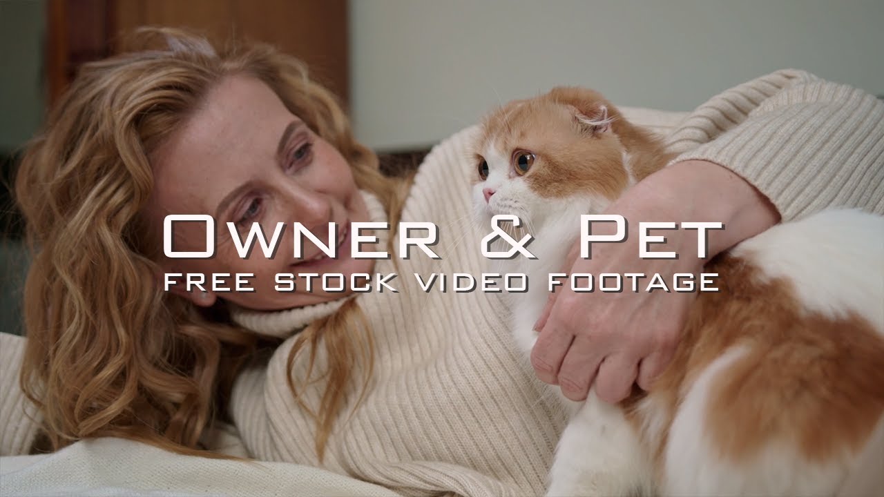 45+ Owner and Pet Free Stock Video Footage | Woman & Man Playing With a Cat, Petting a Dog