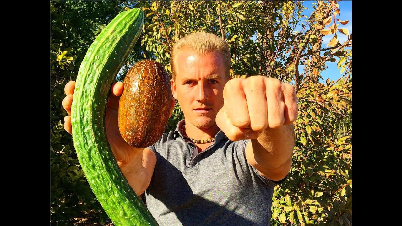 Что я сегодня ела на веганской диете — 100% из моего сада