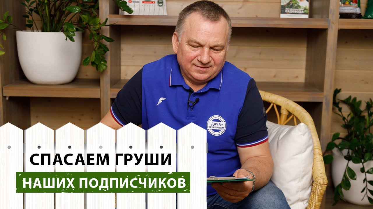 Боремся с болезнями ГРУШ. Отвечаем на ВОПРОСЫ ПОДПИСЧИКОВ