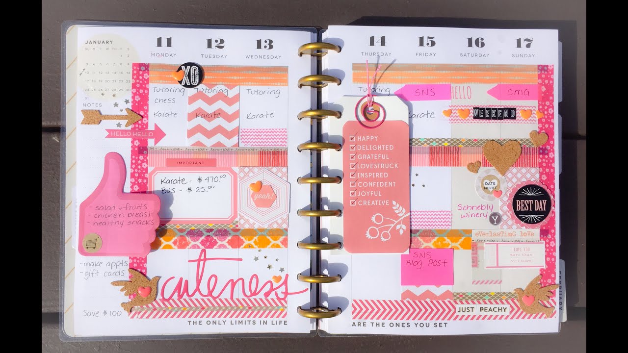 Plan with me 2016: January Week 3 I MAMBI Happy Planner
