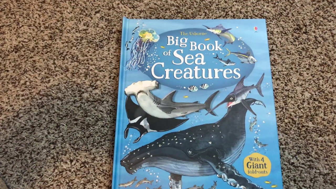 Большая книга морских существ 🐳🦈 Usborne Books & More