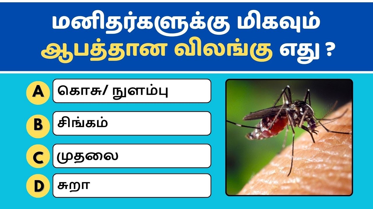 🧠 Brain Test! தமிழ் பொது அறிவு கேள்விகள் 😎📚