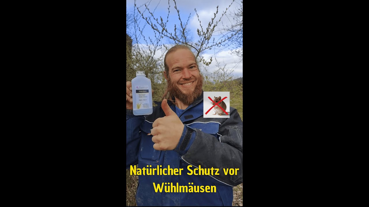 Problem mit W&uuml;hlm&auml;usen - Butters&auml;ure die effektive Methode beim Pflanzen von Obstb&auml;umen