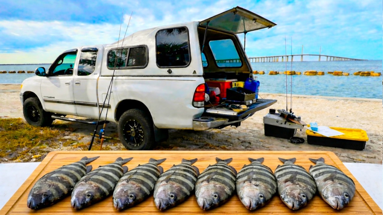 3 Days Truck Camping & Fishing Fort Desoto & Skyway Pier