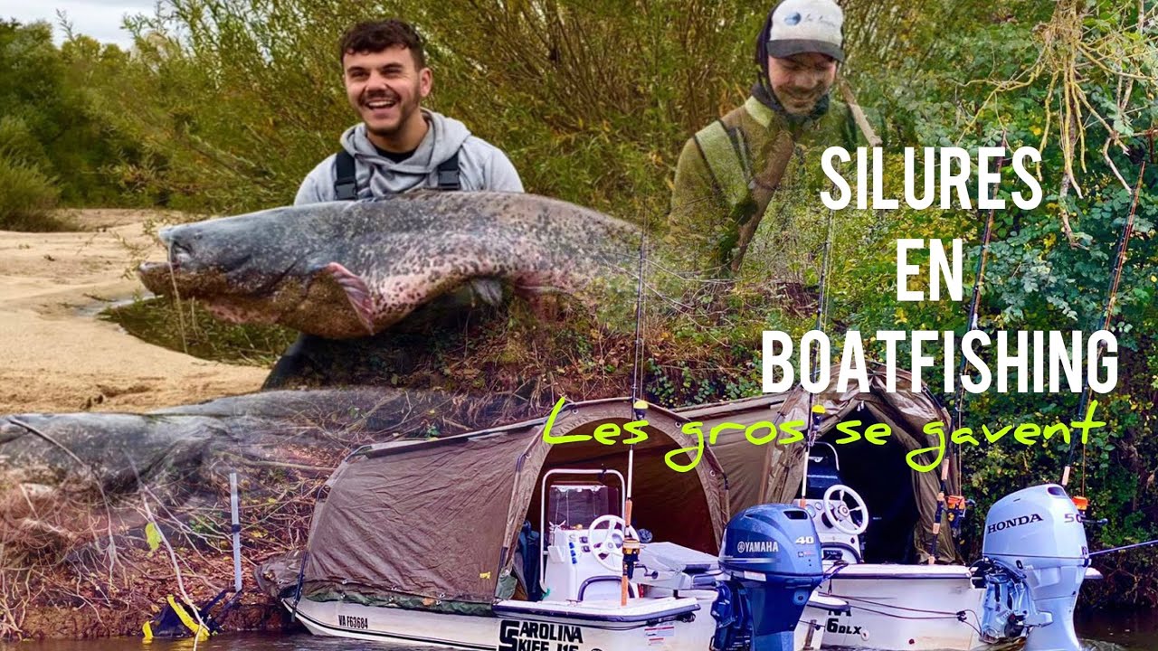 Pêche du silure au cassant en Loire en bateau | 4K !