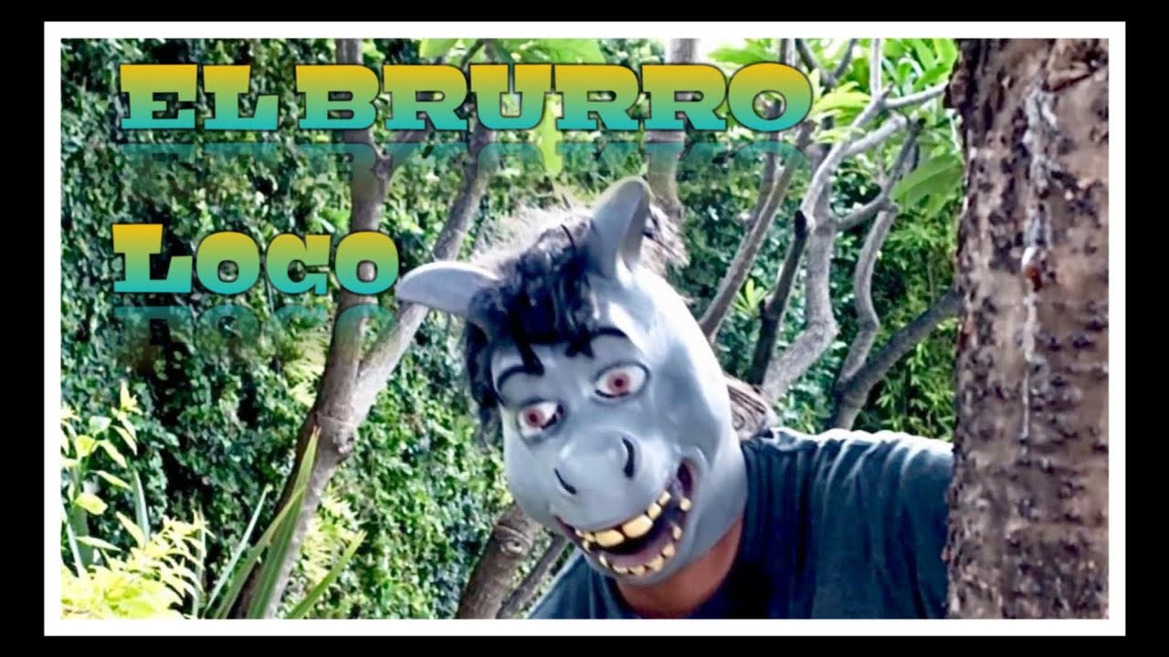 El burro loco - Grupo Tóxico de Irapuato