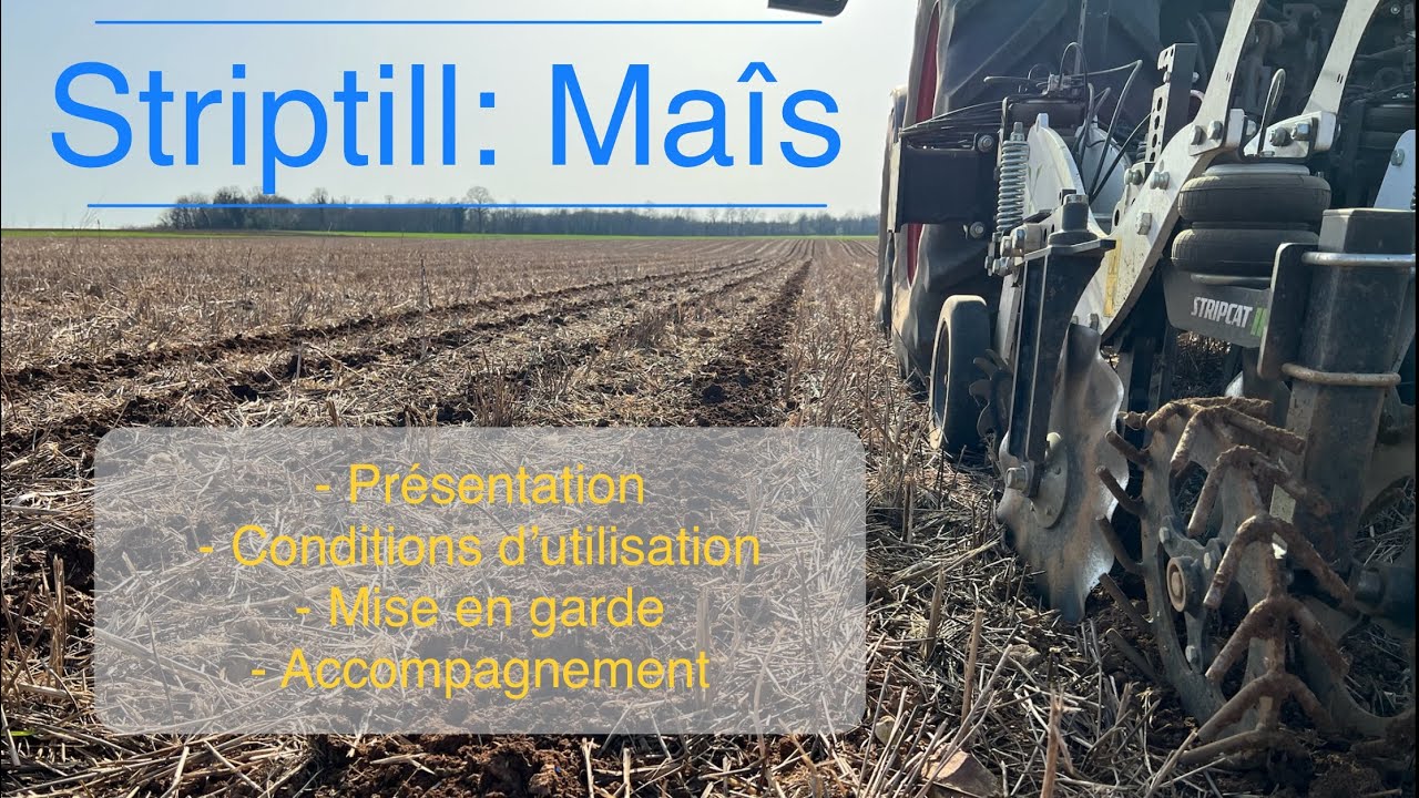 Striptill pour maîs