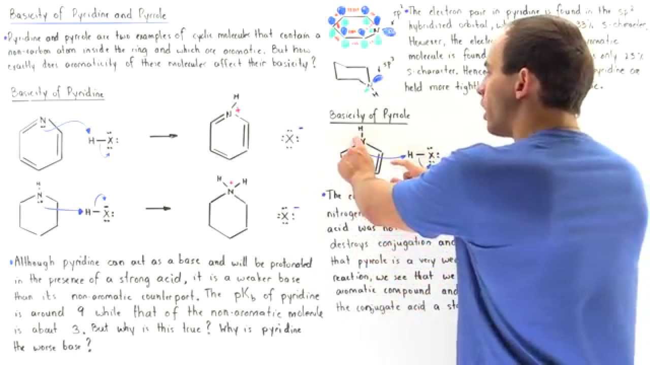 Basicity of Pyrrole and Pyridine