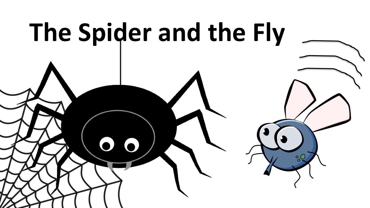 The Spider and the Fly