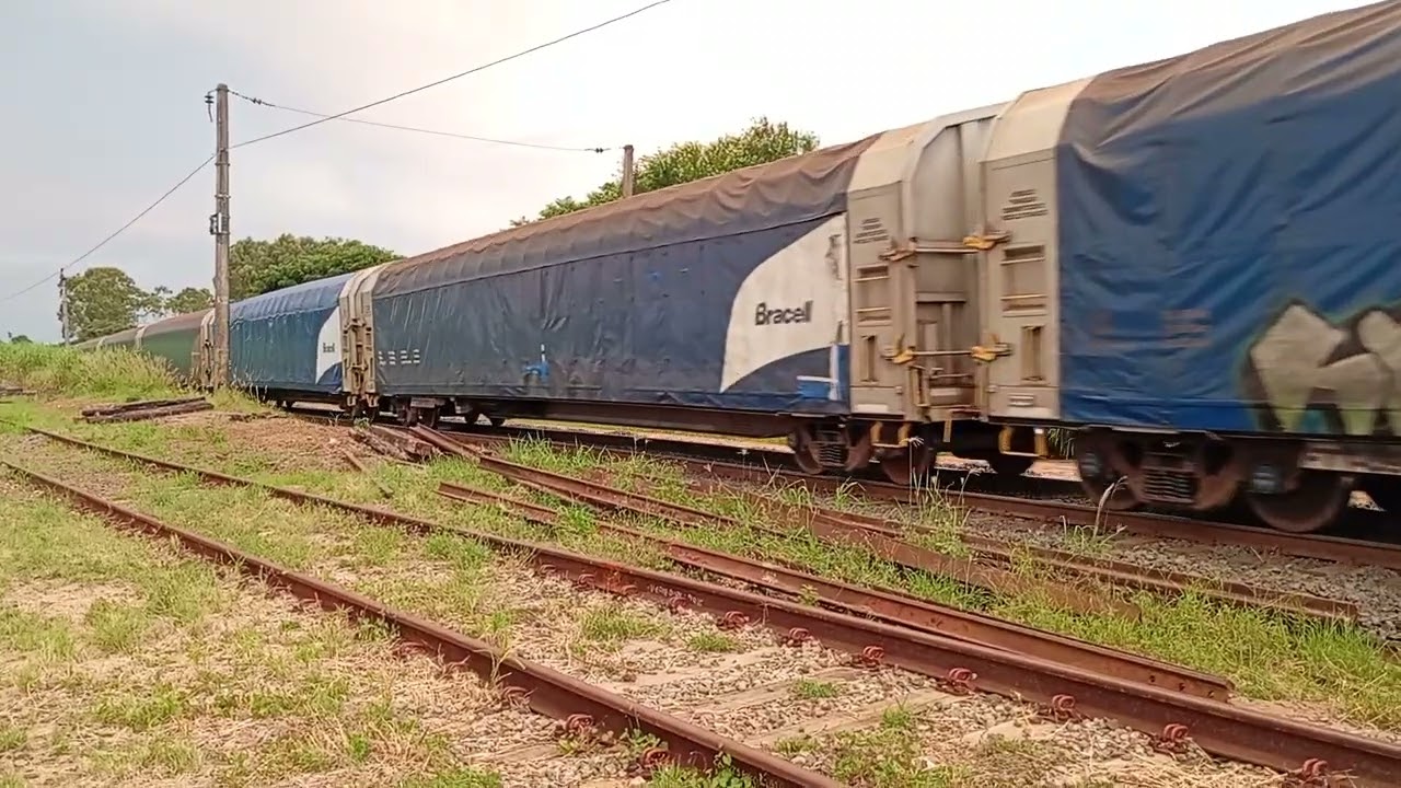 Trem passando por Campinas 