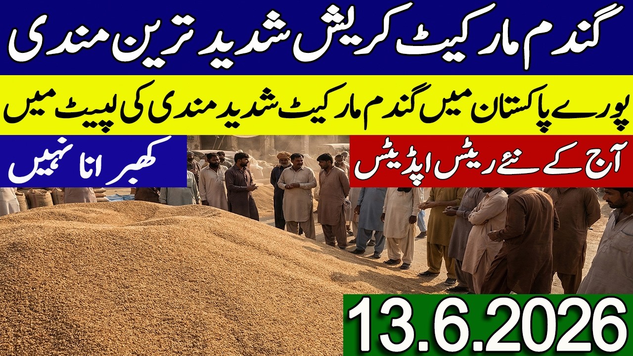 New Gandum Rates Today 2026 || New Wheat Price Today || Gundam Rates Today 2026
