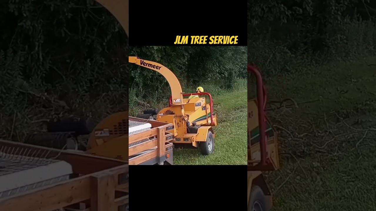 #dangerous highway side storm work #treework #deadtree