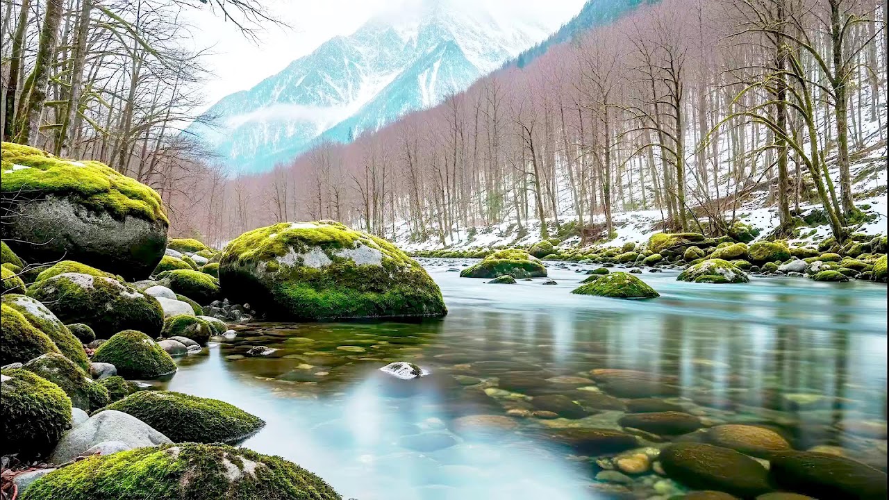 Flowing River Sound for Deep Sleep | Calm Nature Noise for Wellness and Sleep Aid