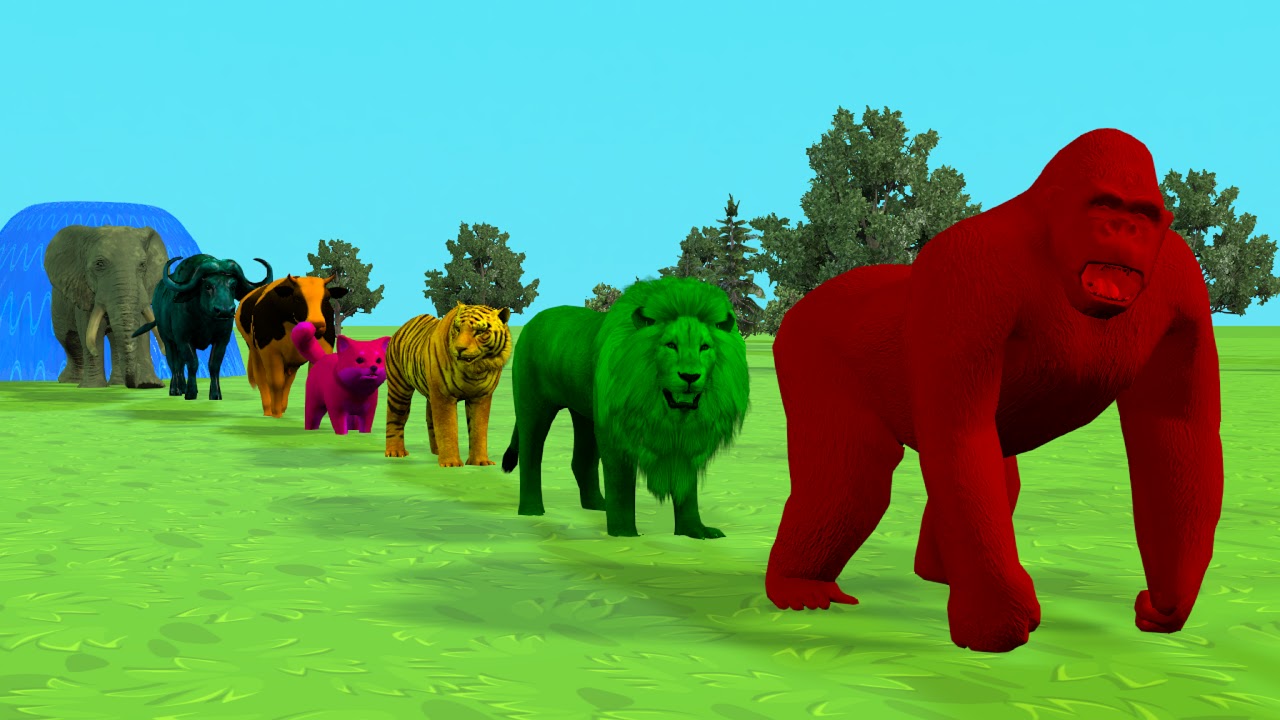 Animals 3D Live Stream