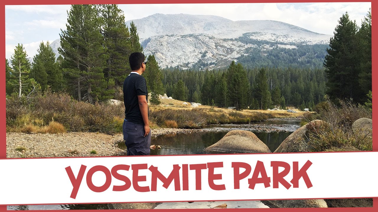 EMBASBACADO COM YOSEMITE