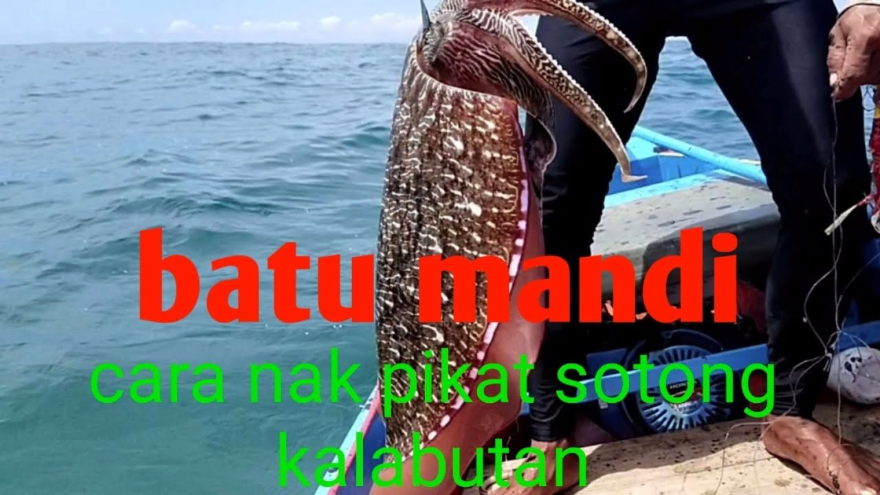 Batu mandi sotong kalabutan