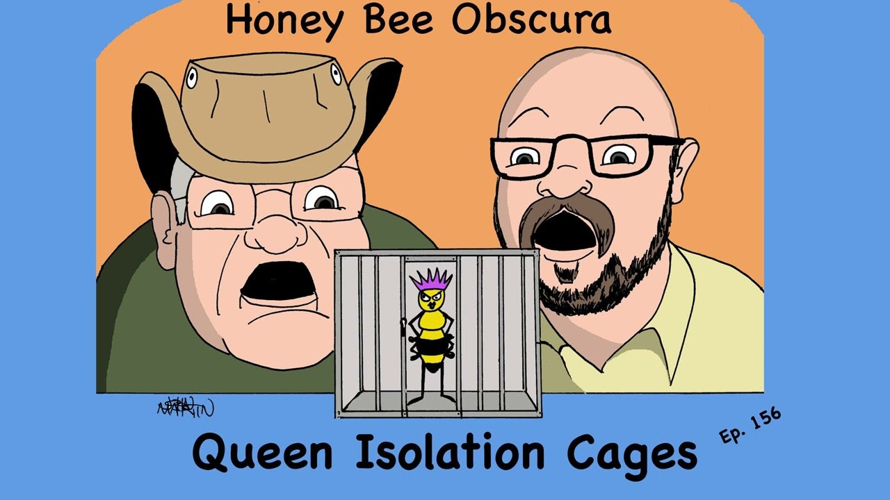 Queen Isolation Cages (156)