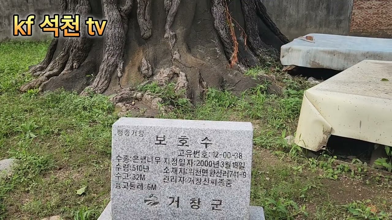 수승대 관광지 구연서원 거북바위등 거창 가볼만한 곳 #관수정 #출렁다리 #와이자 다리 #국제 연극제 #거북바위 #요수정 #원각사 #구연서원 #퇴계 이황 #천하절경 #요산요수