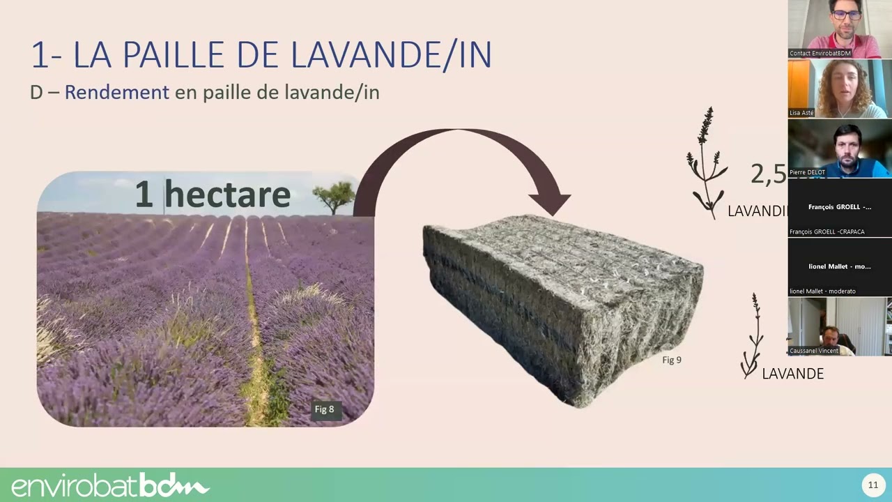 Webinaire 