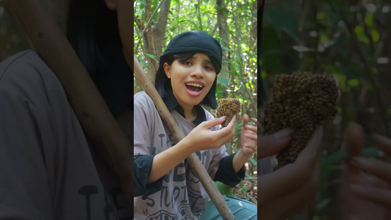 ជីកជីដូន១ឃ្មុំ នៅក្នុងដីហូប😋😋#ក្រមួនម្រោមដី #ជ័រម្រោម #ម្រោមដី