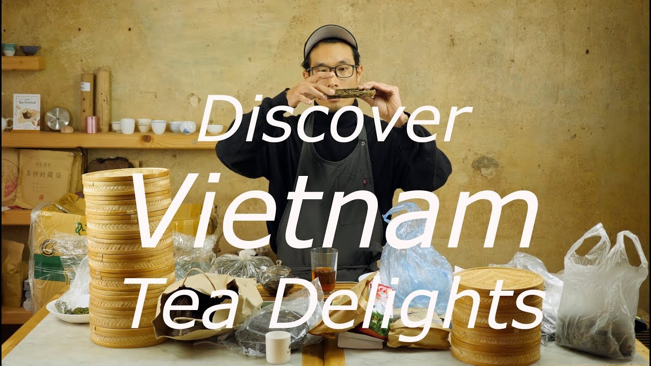 TEA ADDICTS - Unboxing Vietnam Ha Giang Gushu Pu Erh, Hanoi Lotusflower Tea, Dark Tea, Hei cha