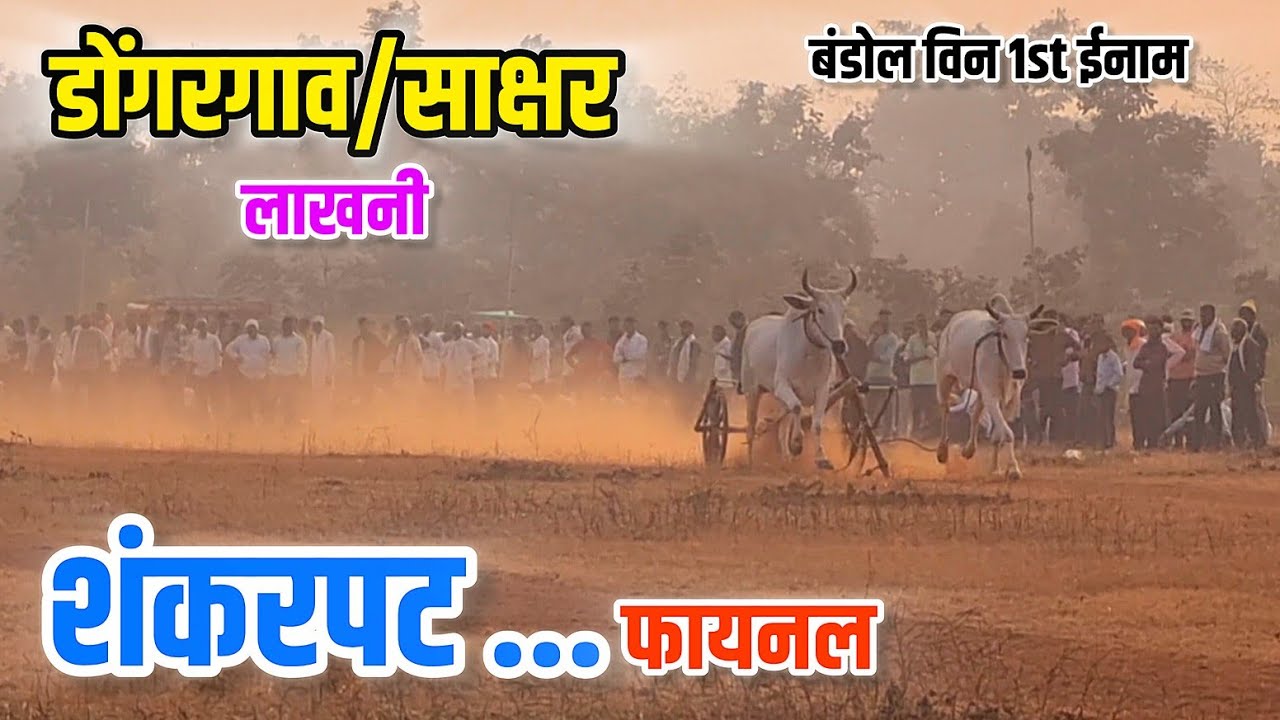 सर्व जोड्या शंकरपट फायनल..डोंगरगाव/साक्षर (लाखनी) #youtubevideo #bailgadasharyat बंडोल विन 1st ईनाम
