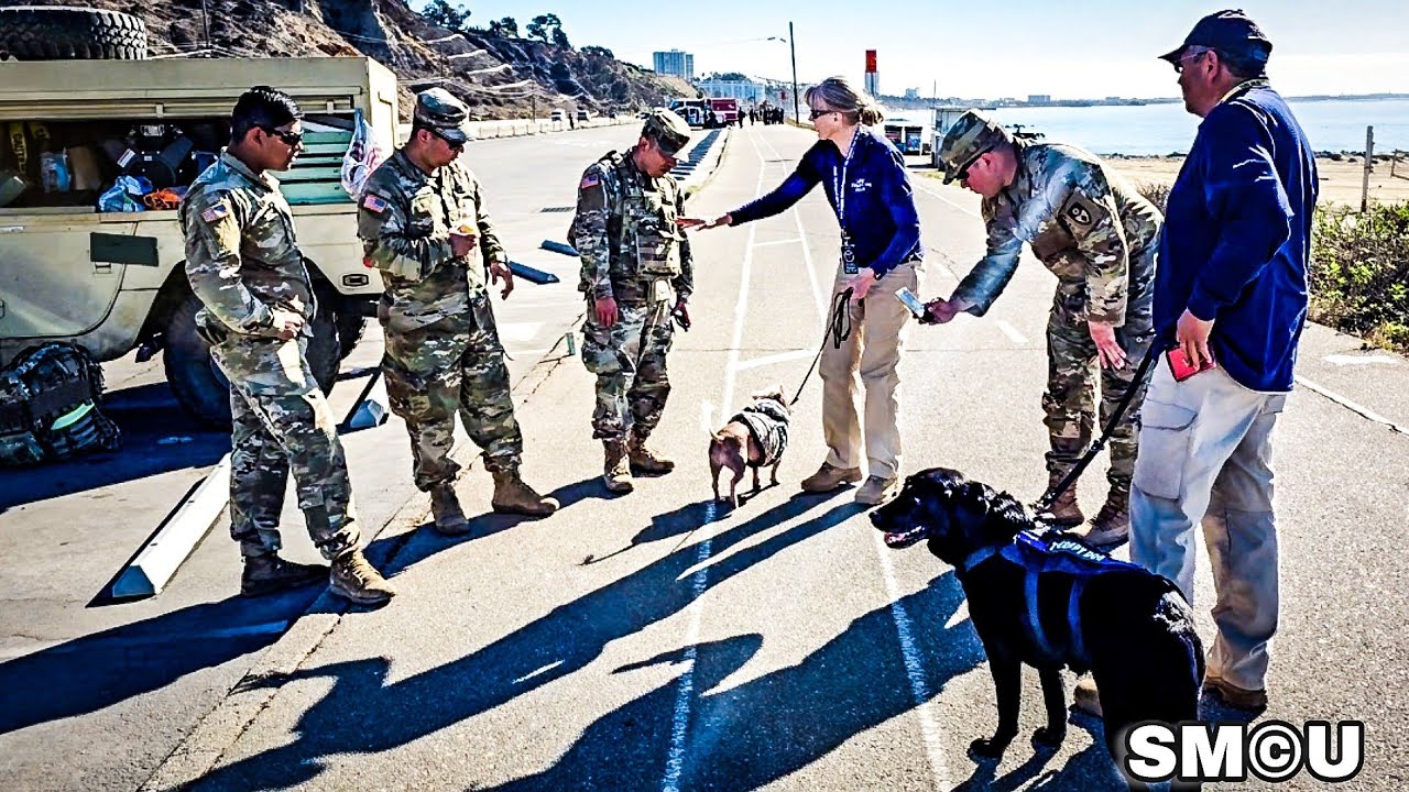 LAPD Therapy Dogs Bring Comfort to Military Police and Firefighters Amid Palisades Fire Recovery
